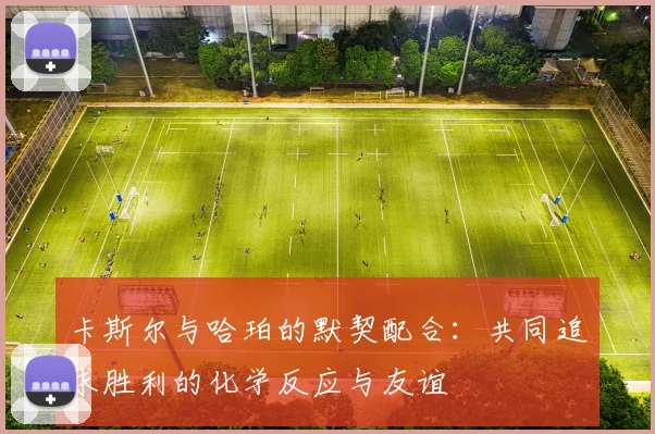 卡斯尔与哈珀的默契配合：共同追求胜利的化学反应与友谊