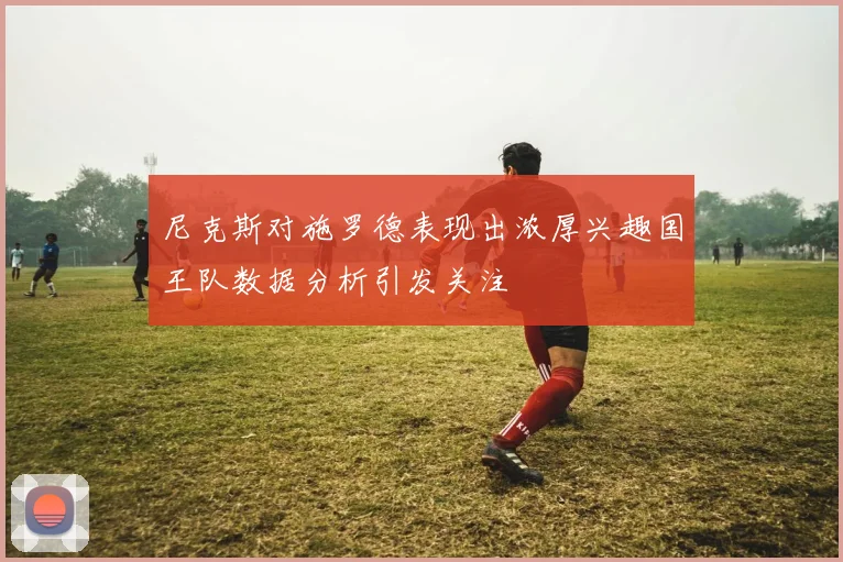 尼克斯对施罗德表现出浓厚兴趣国王队数据分析引发关注